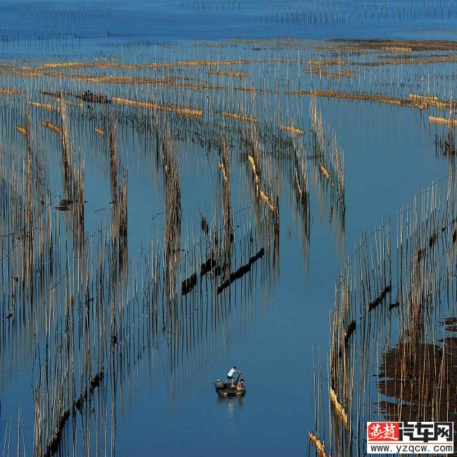 霞浦滩涂摄影 (29).jpg