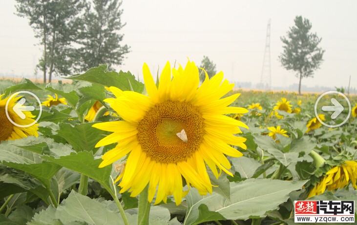 J[T]LFH9O(UNRM[(`ULCEMJ.jpg