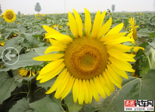 afa702a42fce175210c61bdf812e8f7486189b0b96e4e8db913ea40ba10872c5.jpg
