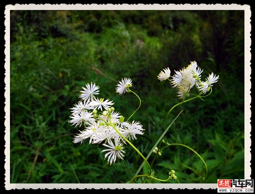 IMG_20140712_145019_副本.jpg