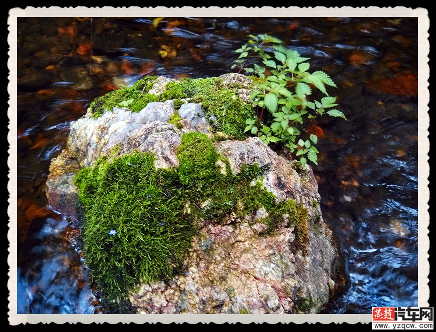 IMG_20140712_170150_副本.jpg